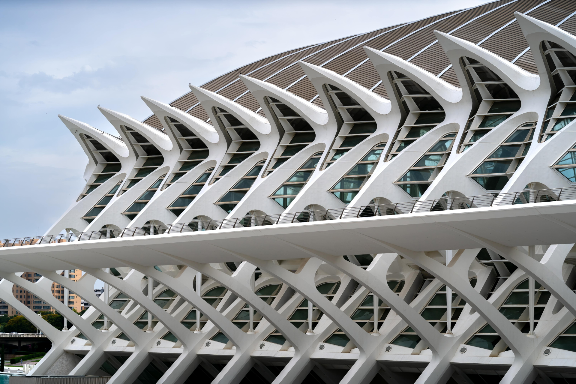 Descubre el diseño futurista de la Ciudad de las Artes y las Ciencias de Valencia, que exhibe arquitectura moderna.